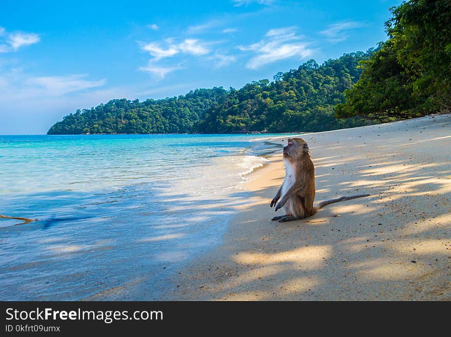 Sea, Body Of Water, Sky, Beach