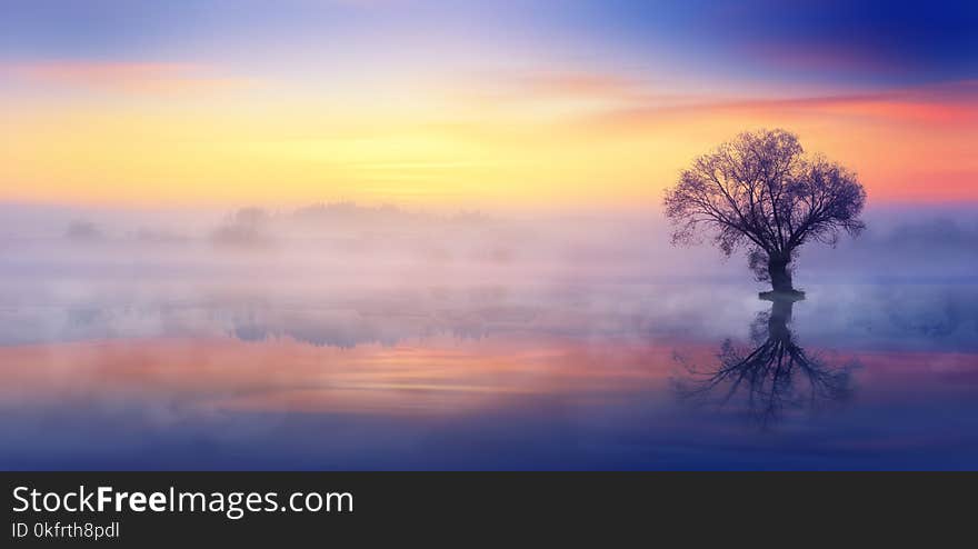 Sky, Dawn, Sunrise, Red Sky At Morning