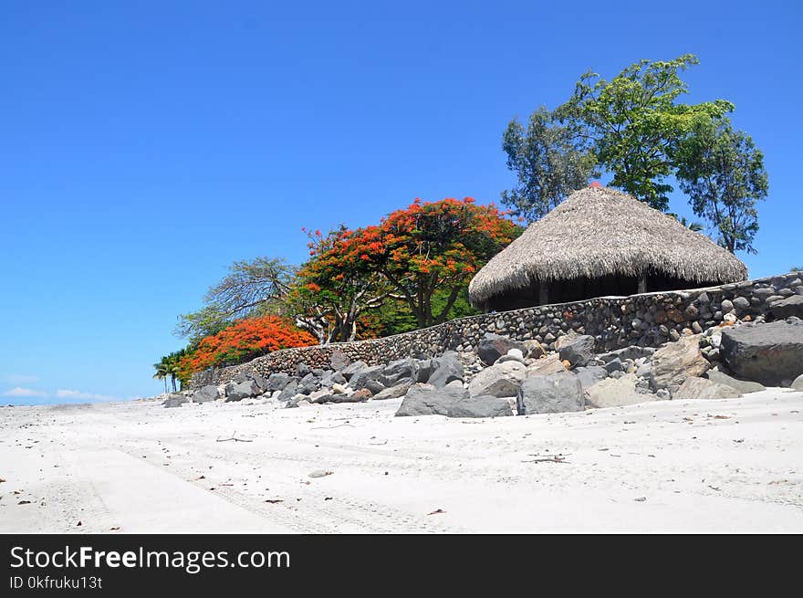 Sky, Tree, Beach, Vacation