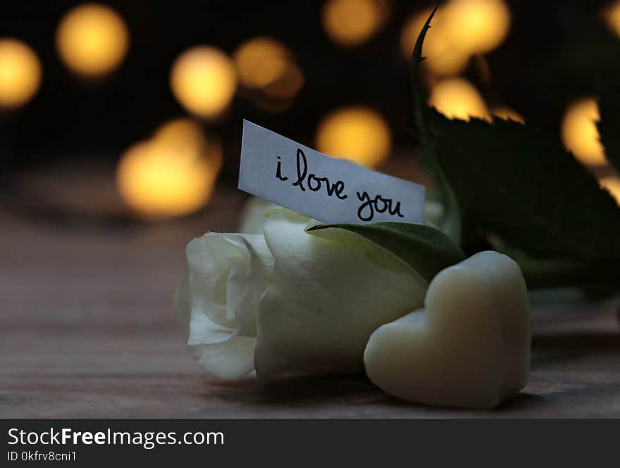 Light, Lighting, Still Life Photography, Candle