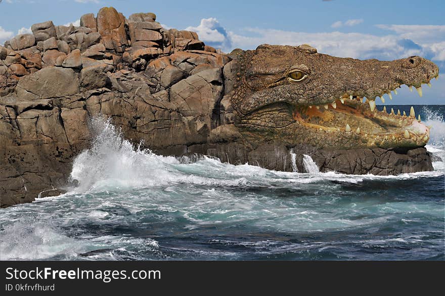 Rock, Coast, Sea, Coastal And Oceanic Landforms