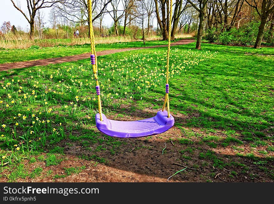 Swing, Tree, Outdoor Play Equipment, Grass