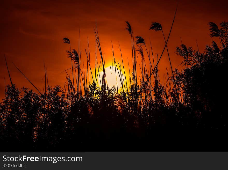 Sky, Nature, Sun, Sunset