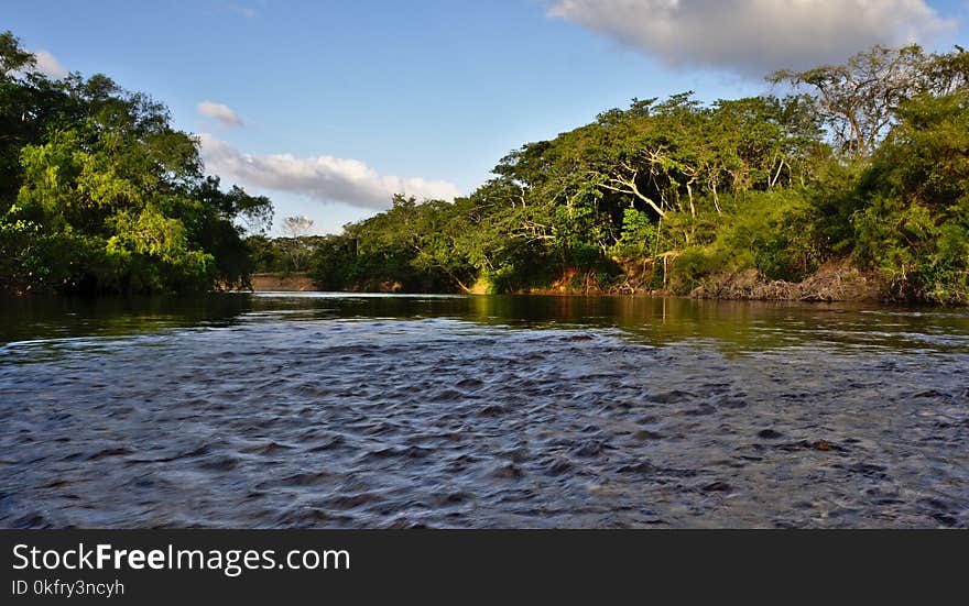 Waterway, River, Water, Nature Reserve