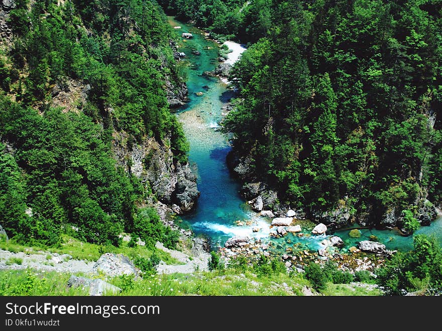 Mountain river Tara and green forest in Montenegro. Mountain river Tara and green forest in Montenegro