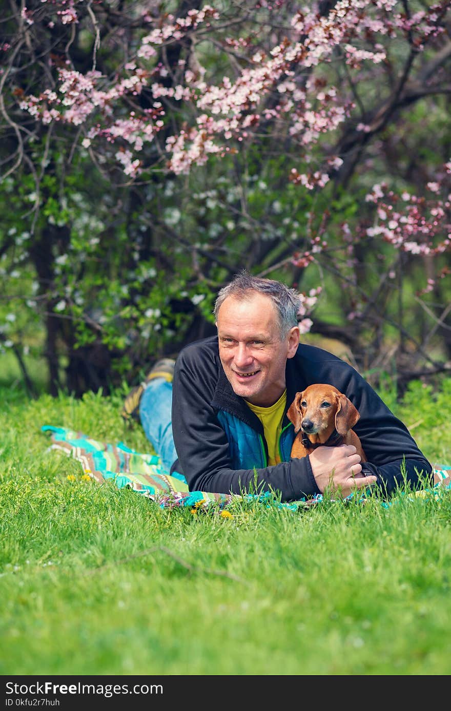 Happy man hugs his funny dog, dachshund, while lying on the green meadow under a wild blooming cherry, enjoying life on a awesome spring day.