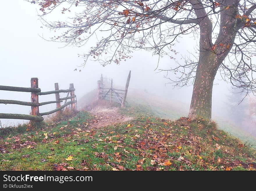 Colorful Autumn Landscape Scene With Road In The Mountain. Carpathian, Ukraine, Europe. Beauty World