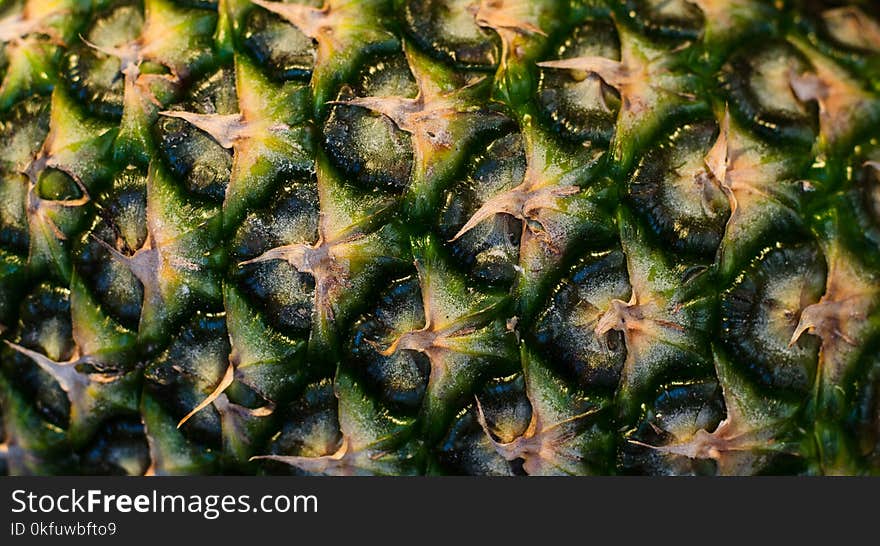 Close up of the exterior of a pineapple. Texture, close up. Close up of the exterior of a pineapple. Texture, close up.