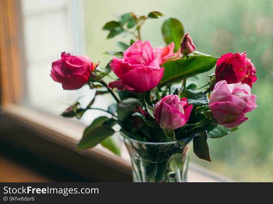 Homemade roses. Bouquet in a crystal vase on a wooden window. The concept of quiet and cozy village life, gardening and environmen