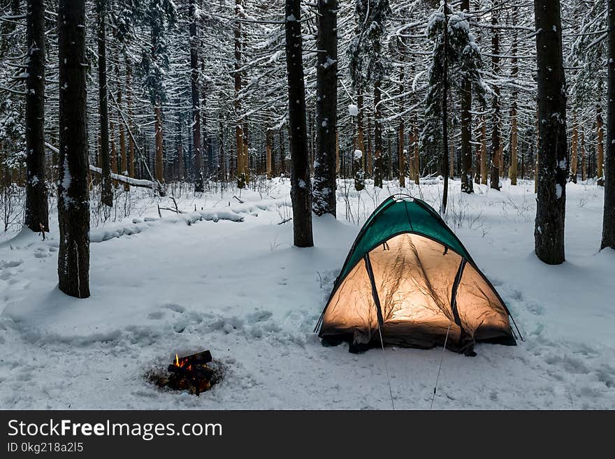 Tent in the winter forest on a hike