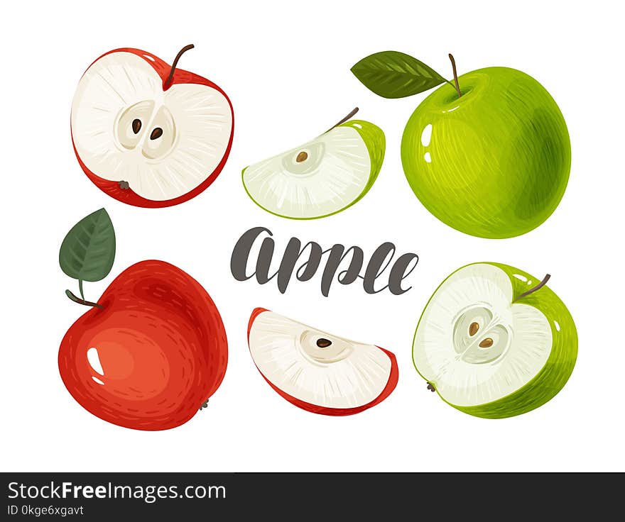 Apple And Slices. Fresh And Juicy Fruit. Vector Illustration