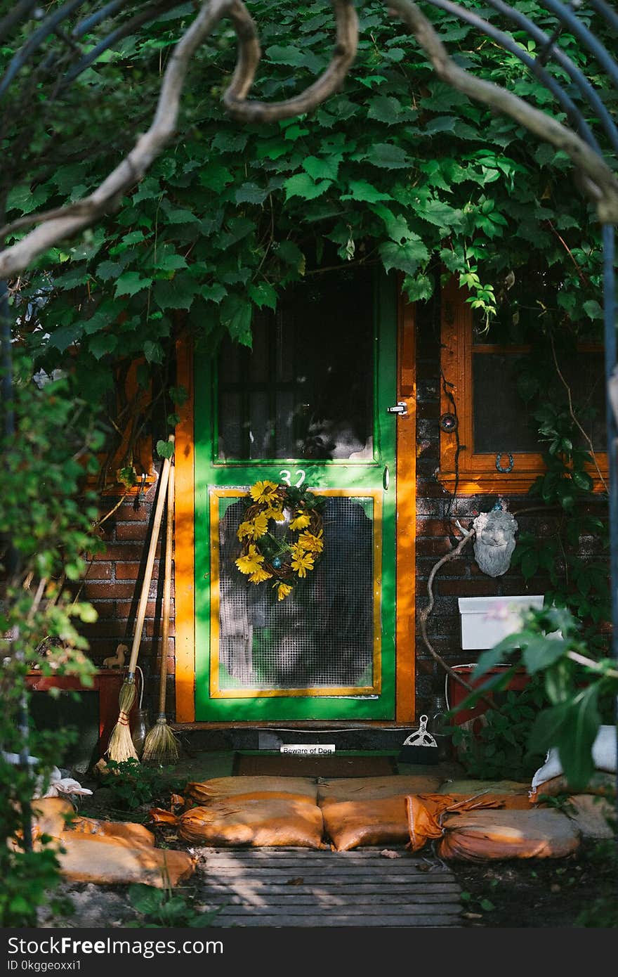 Photo of Door Near Plants