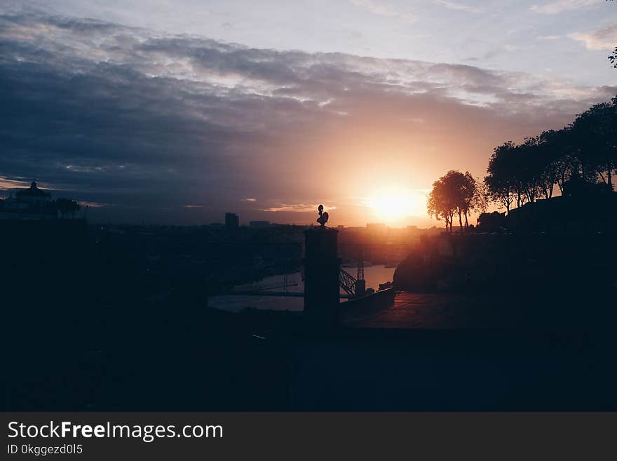 Silhouette of Trees and Buildings during Sunrise