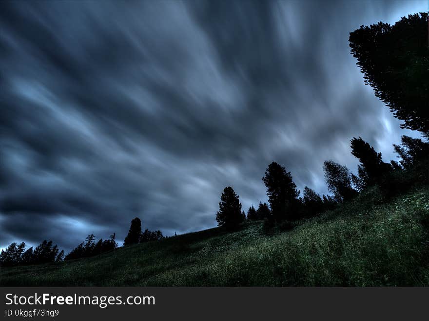 Silhouette Photo of Trees Under Gray Clouds