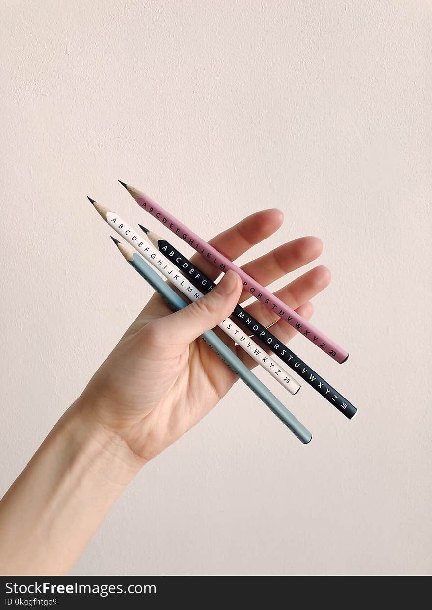 Photo of Person Holding Assorted Pencils