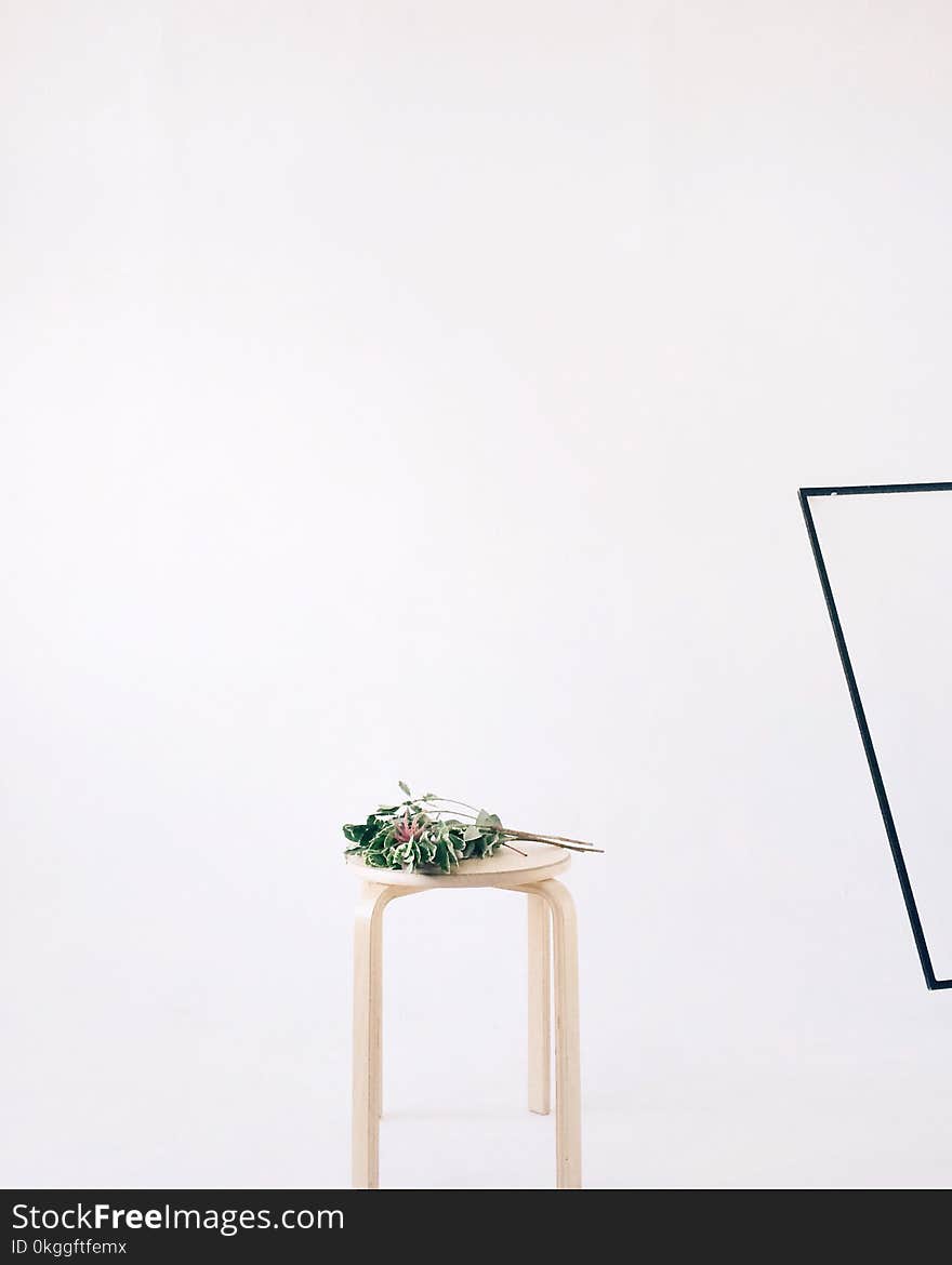 Green Leaves on Round Beige Wooden Stool Chair