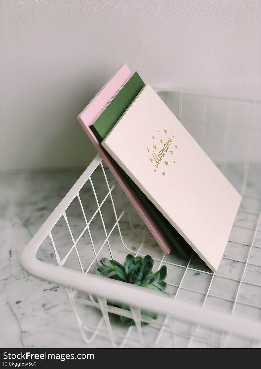 Close Up Photograph of White Rack With Books and Succulent Plant