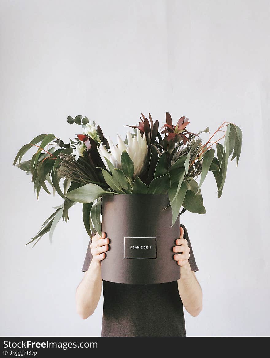 Person in Black T-shirt Holding Potted Flowers