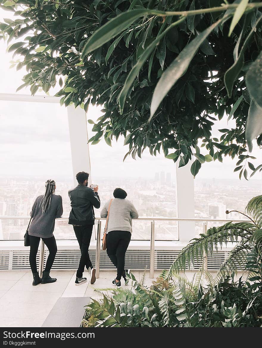 Three Person Looking at the Window