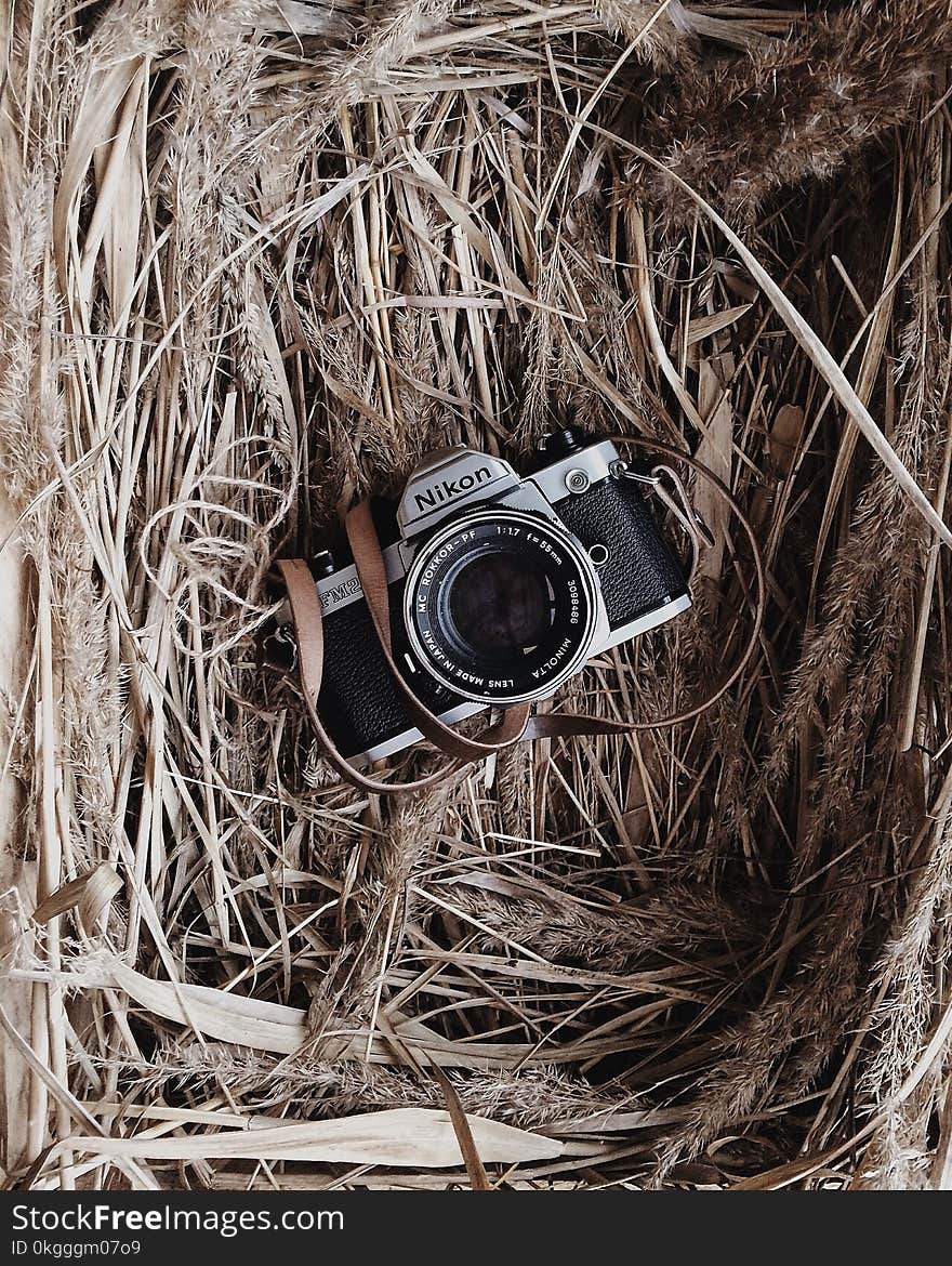 Black and Grey Nikon Camera in Brown Nest