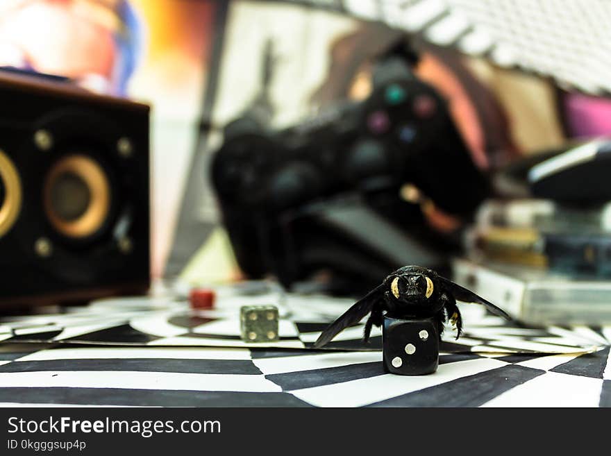 Selective Focus Photography of Black Die