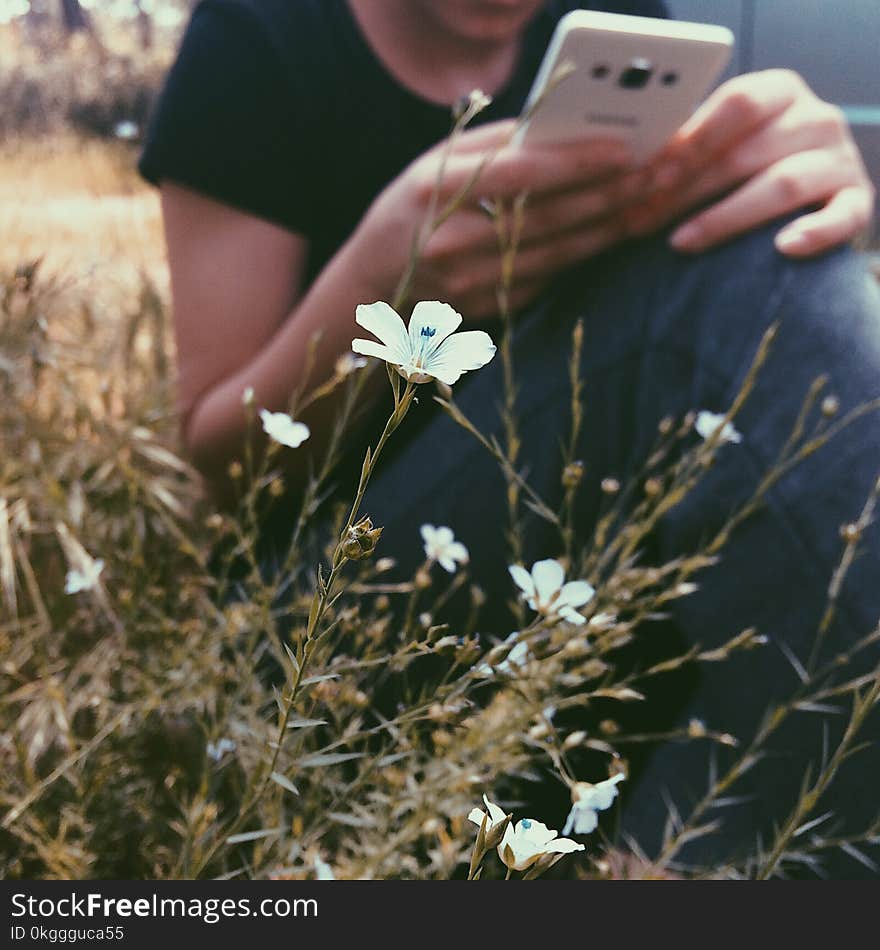 Selective Focus Photography of White Petaled Flowers Near Woman Holding Smartphone