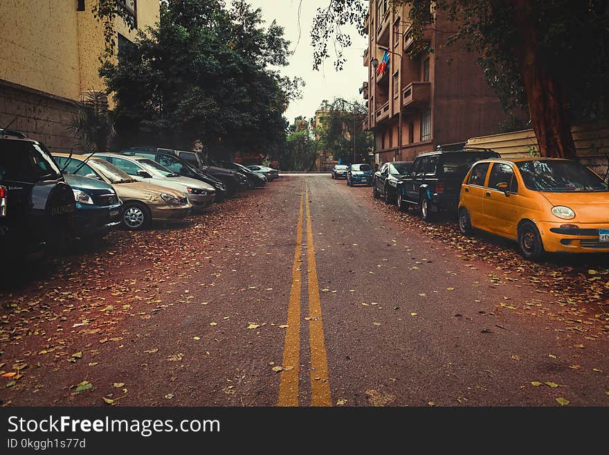 Gray Asphalt Road Between Cars