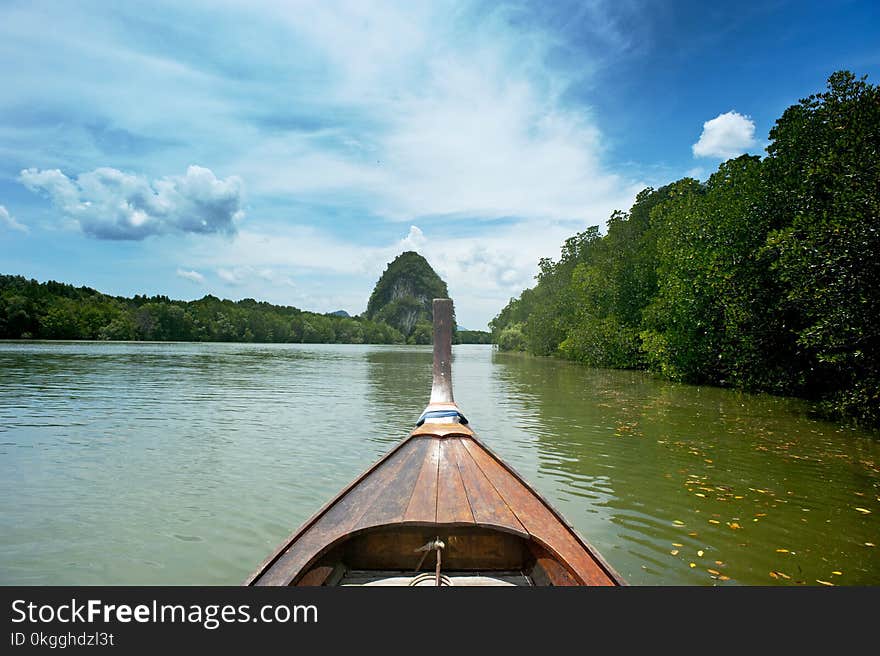 Brown Wooden canoe near trees