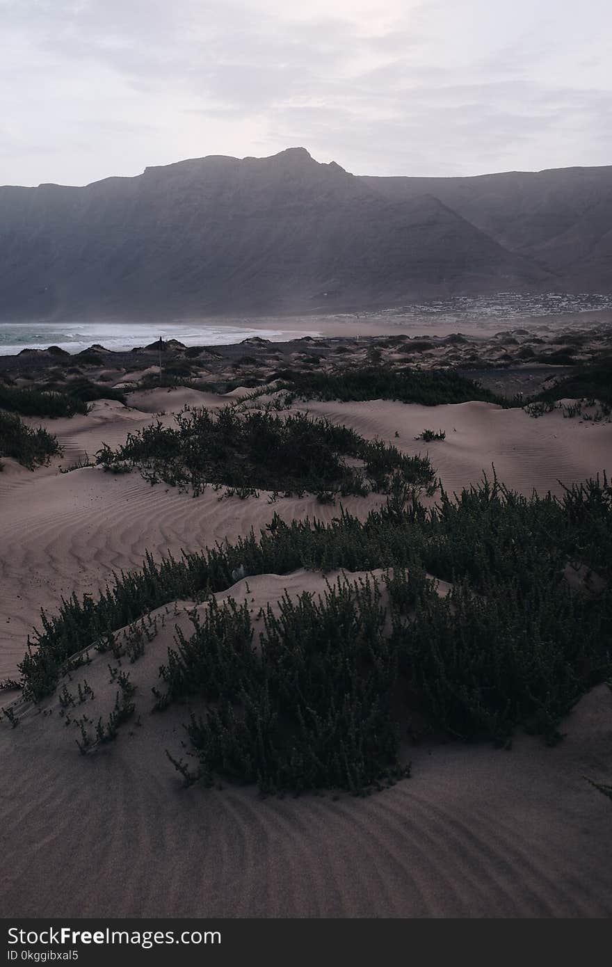 Green Grass Near Body of Water and Mountain Under White Sky