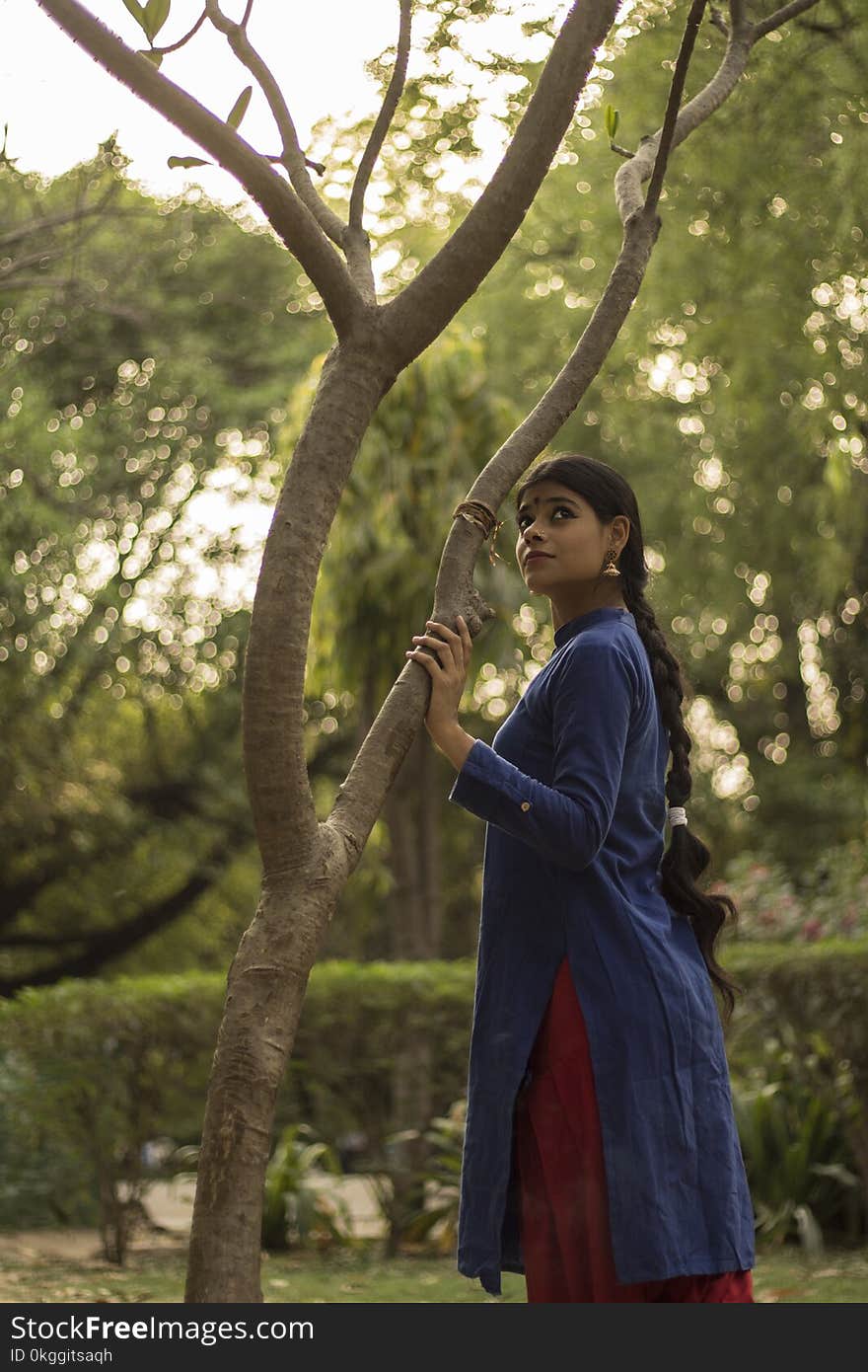 Woman Wearing Blue and Red Long-sleeved Dress Near Tree