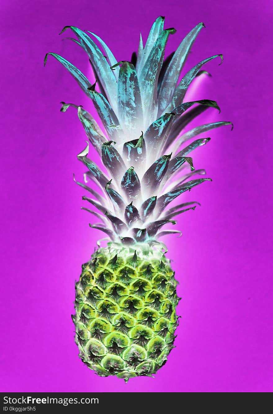 Pineapple Illustration