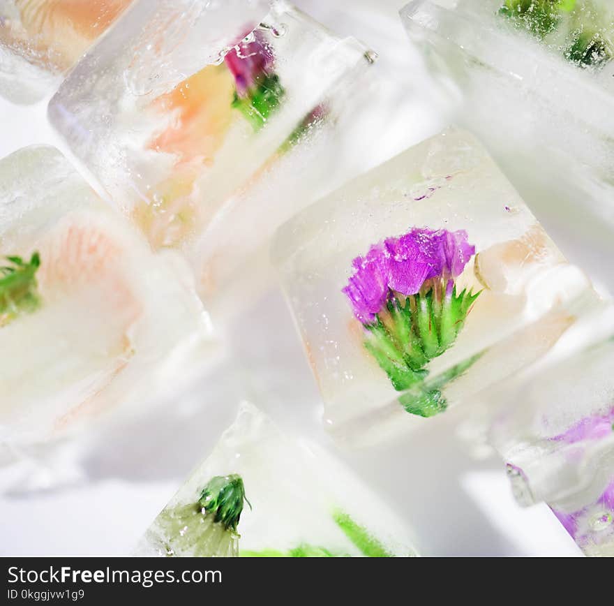 White Floral Ice Cube