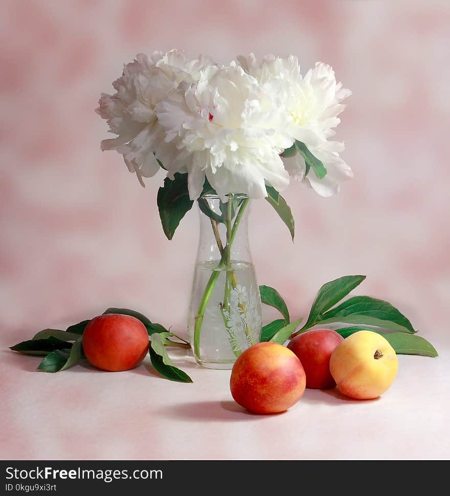 Selective Focus Photography of White Cluster Flower in Clear Glass Vase