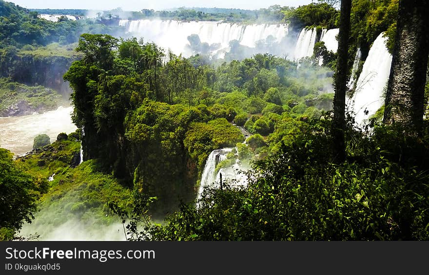 Trees Beside Waterfalls