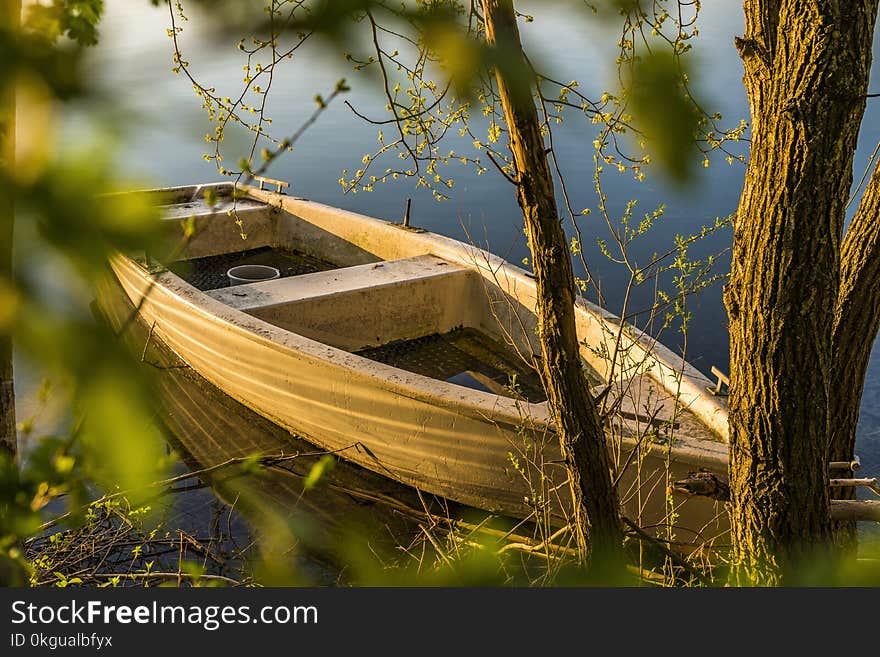 Brown Wooden Boat Near Tree