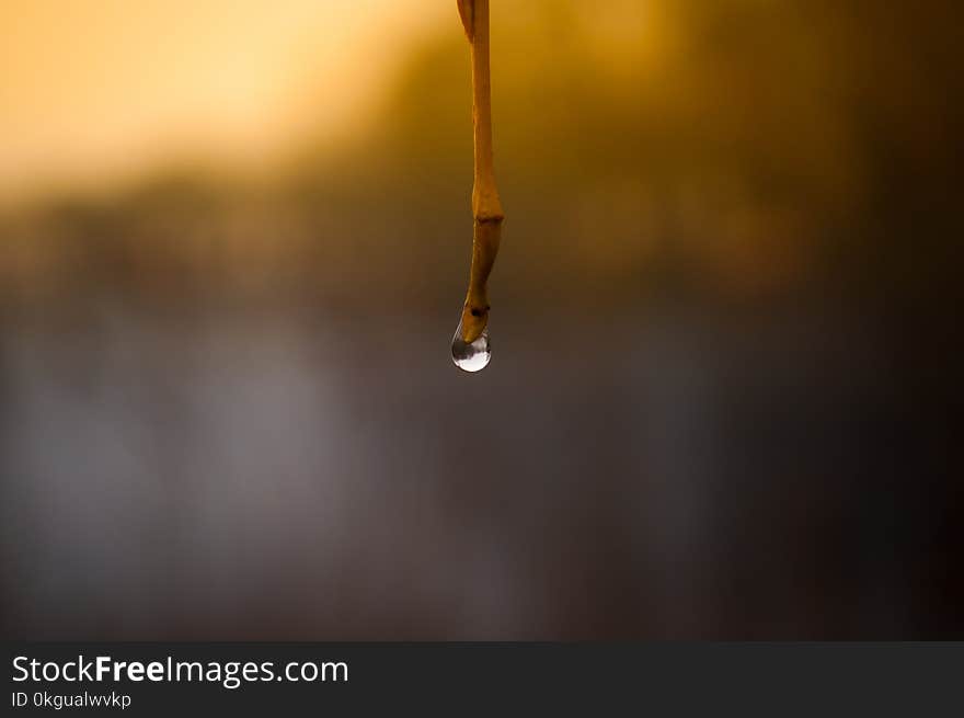 Tilt Shift Photo of Water Droplet