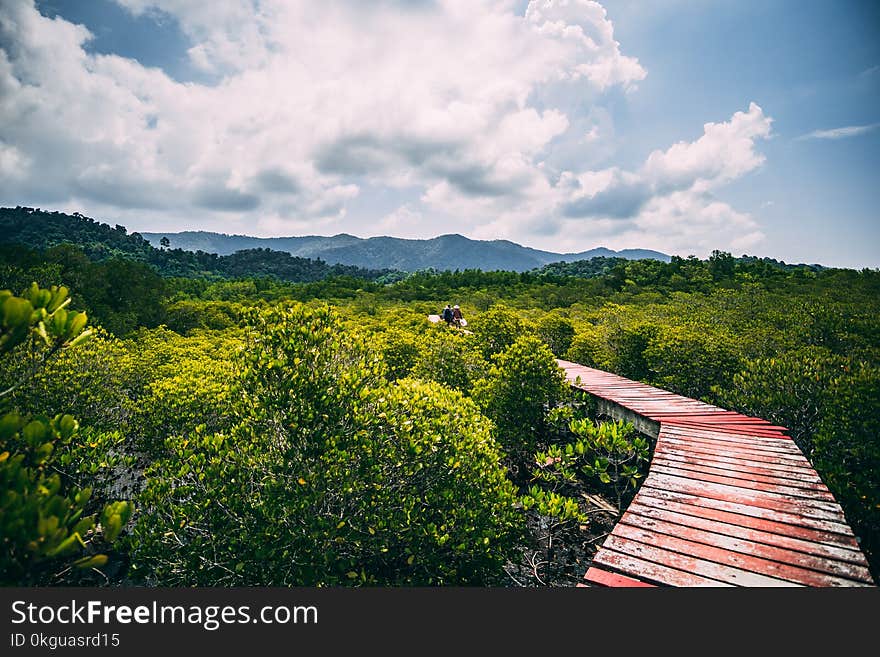 Red Wooden Dock