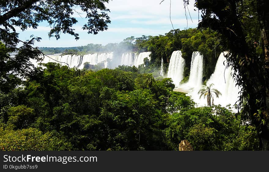 Waterfalls Surrounded by Trees