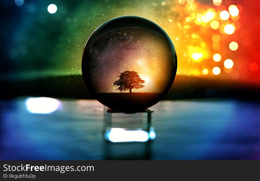 Selective Focus Photography of Water Globe With Tree Illustration