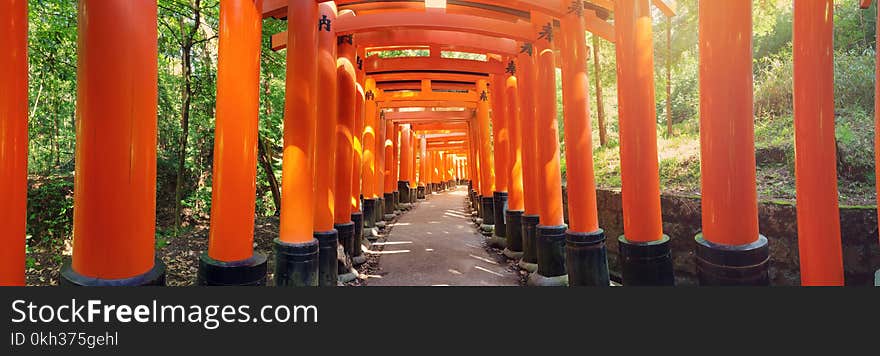 View to Torii gates in Fushimi Inari Shrine. Famous place in Kyoto, Japan