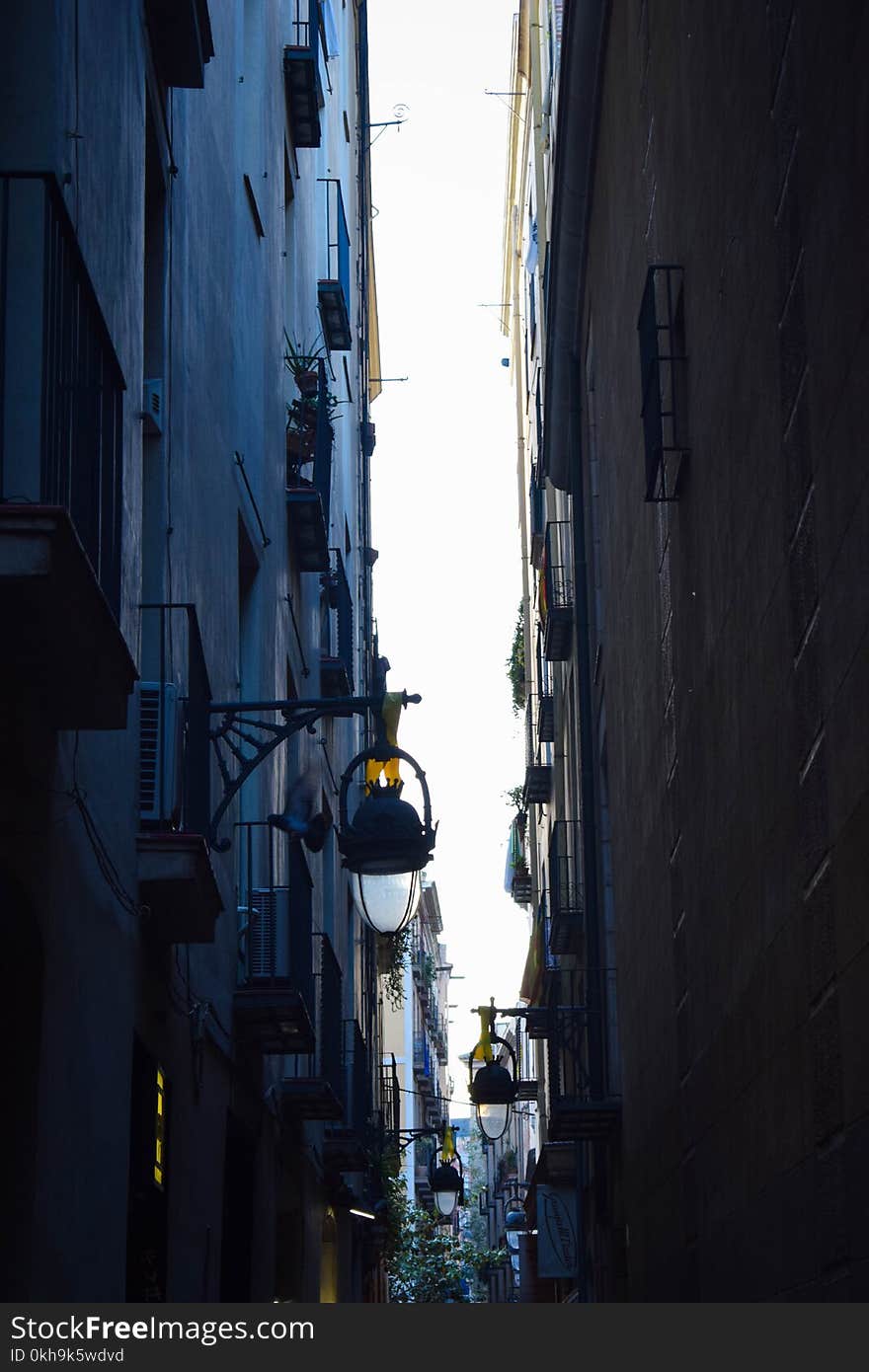 Photo of Alley Between Buildings