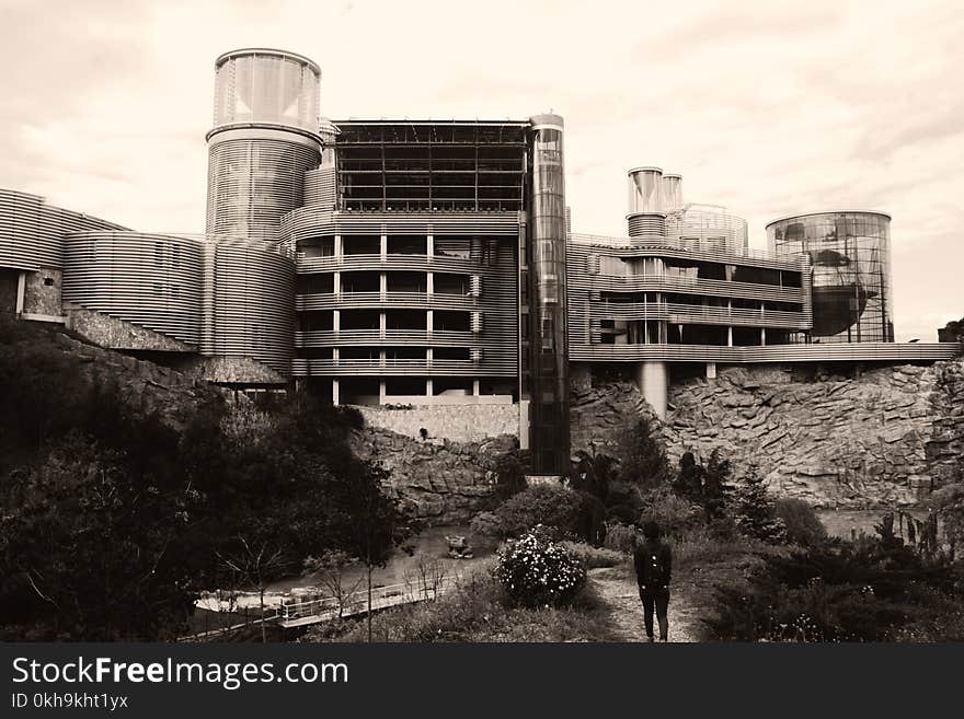 Grayscale Photography of Person Looking at the Building