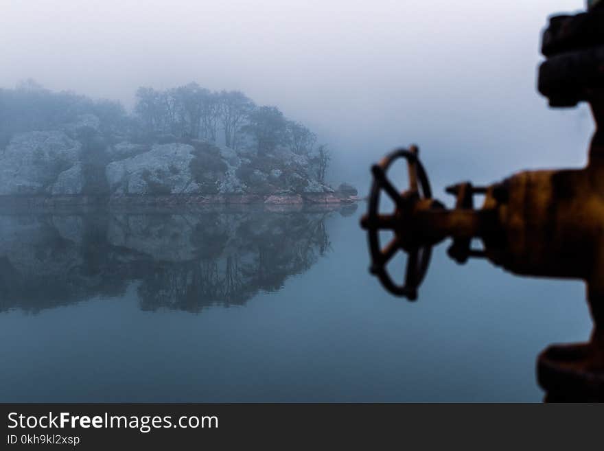 Reflection of Trees on Water