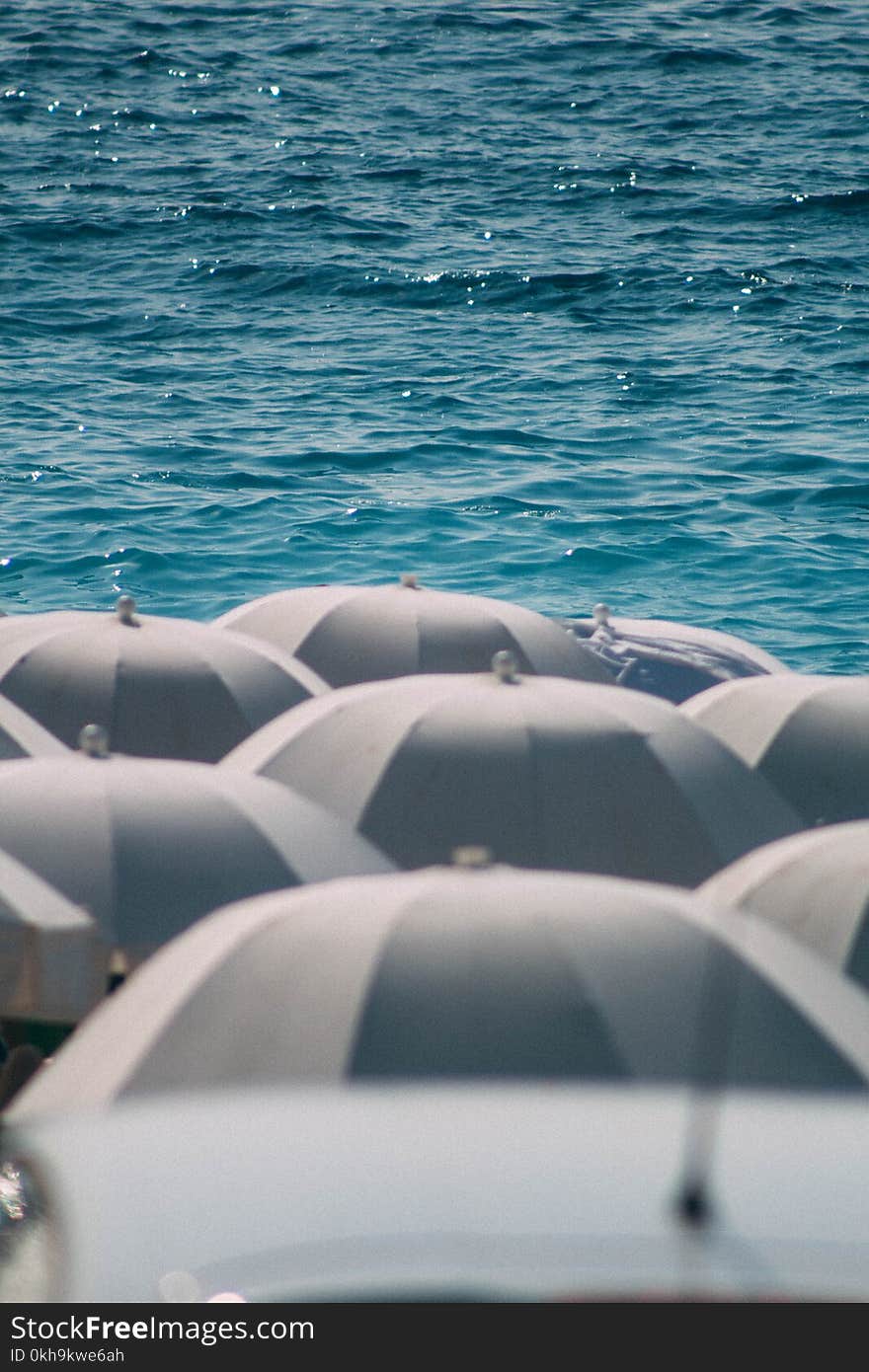 Photography of Umbrellas Near Ocean