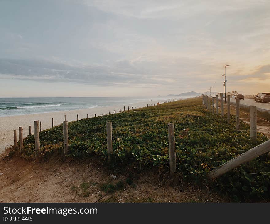 Photography of Grass Field Near Ocean