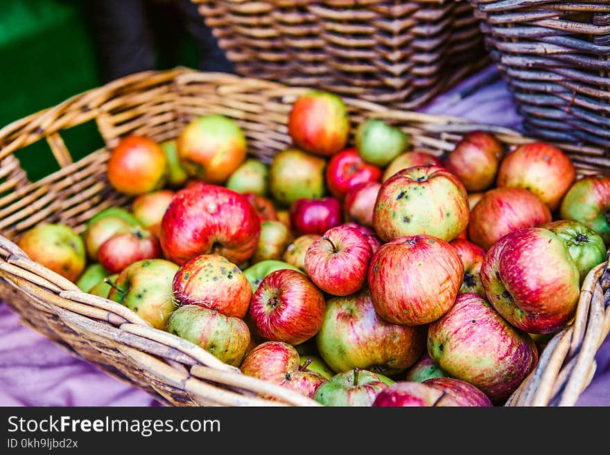 Photo of Red and Green Apples