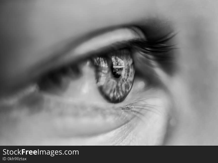 Grayscale Macro Photography of Person&#x27;s Eye