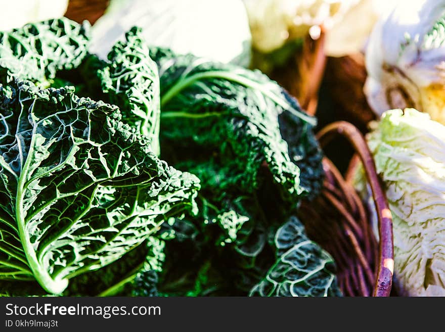 Green Vegetable on Basket