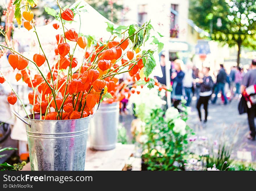 Orange Flowers on Gray Bucket