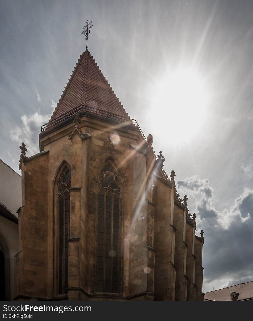 Brown Concrete Cathedral